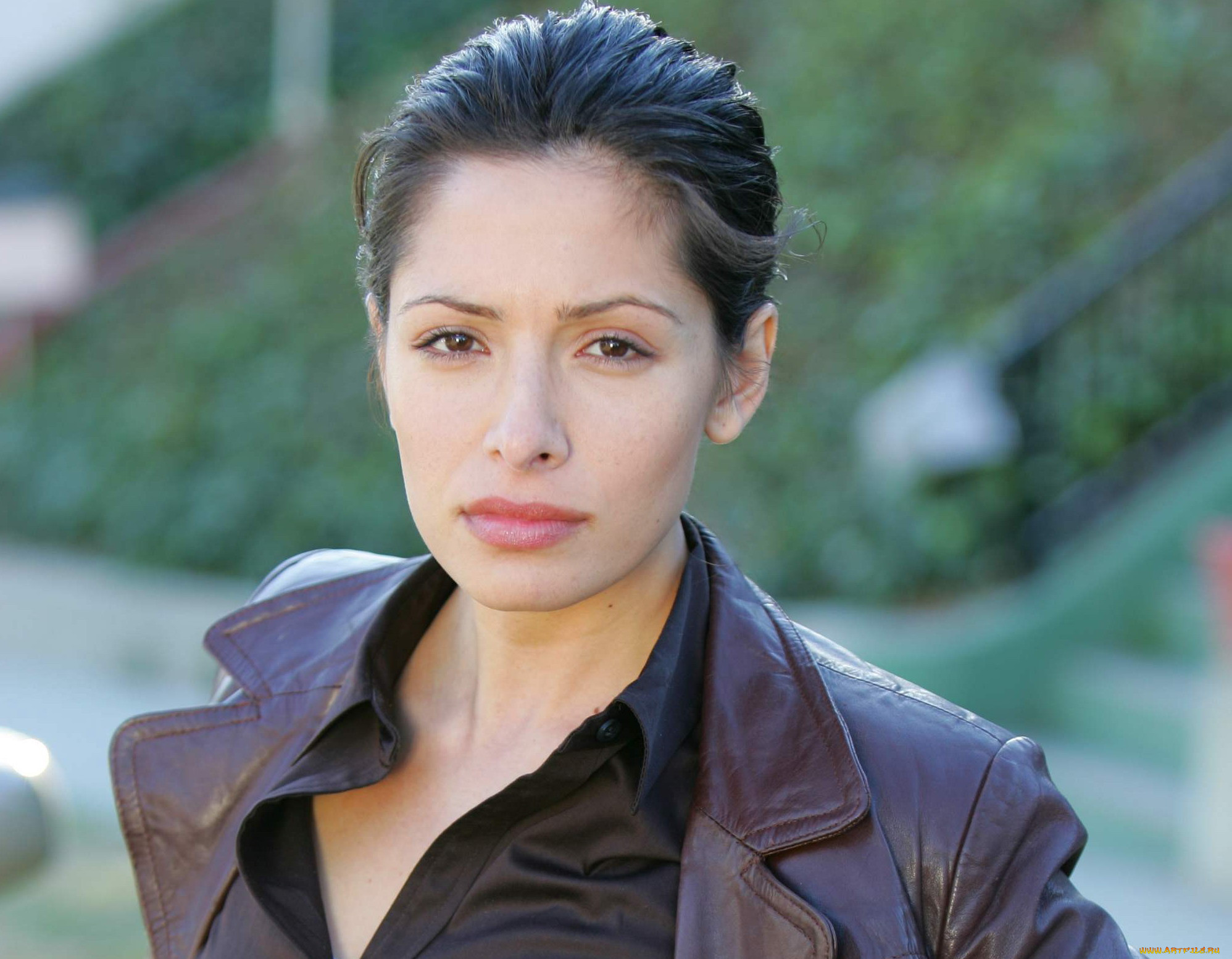 , sarah shahi, , , 